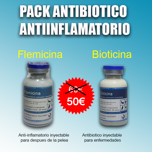 pack antibiotico y antiinflamatorio gallos de pelea